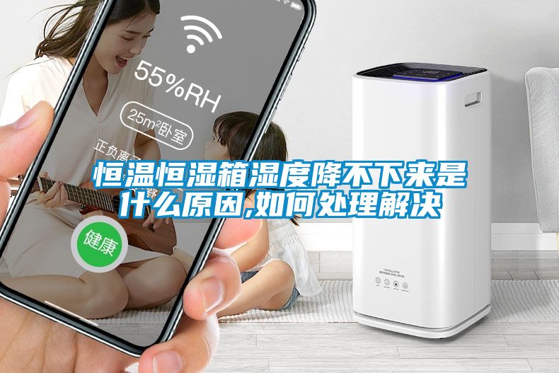 恒溫恒濕箱濕度降不下來是什么原因,如何處理解決