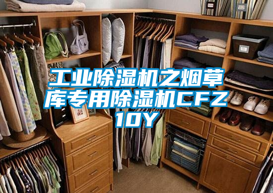 工業(yè)除濕機之煙草庫專用除濕機CFZ10Y