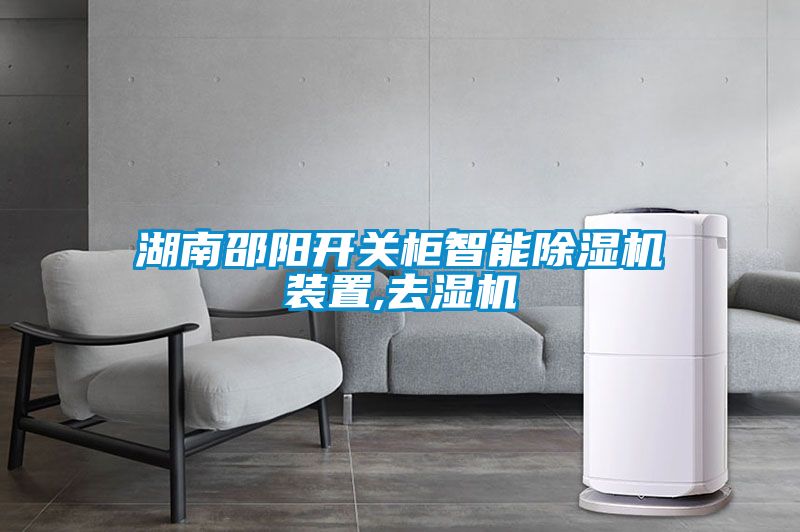 湖南邵陽開關(guān)柜智能除濕機(jī)裝置,去濕機(jī)
