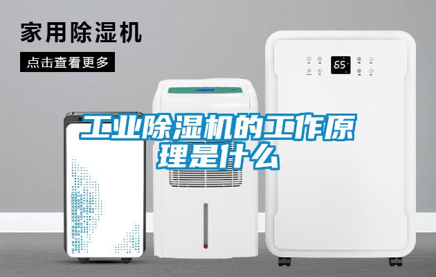 工業(yè)除濕機的工作原理是什么
