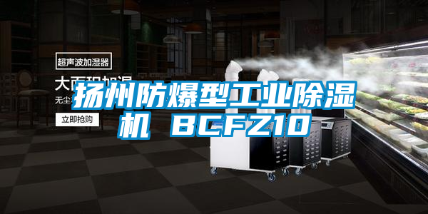 揚州防爆型工業(yè)除濕機 BCFZ10