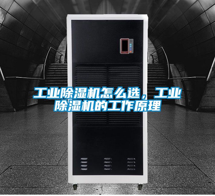 工業(yè)除濕機怎么選，工業(yè)除濕機的工作原理