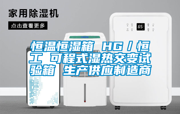 恒溫恒濕箱 HG／恒工 可程式濕熱交變試驗箱 生產供應制造商