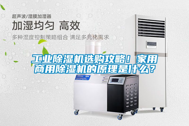 工業除濕機選購攻略！家用商用除濕機的原理是什么？
