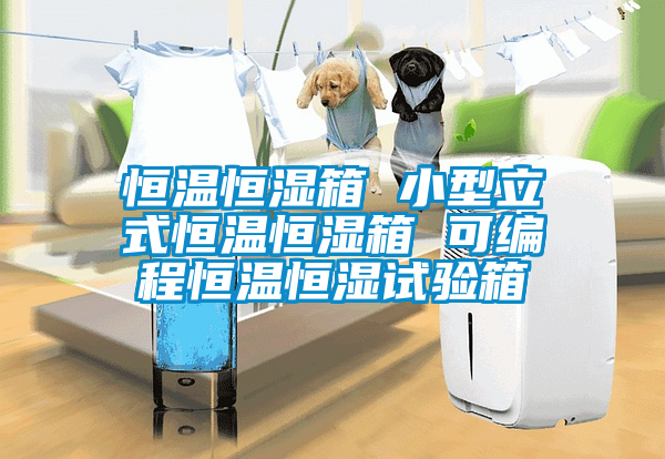 恒溫恒濕箱 小型立式恒溫恒濕箱 可編程恒溫恒濕試驗(yàn)箱