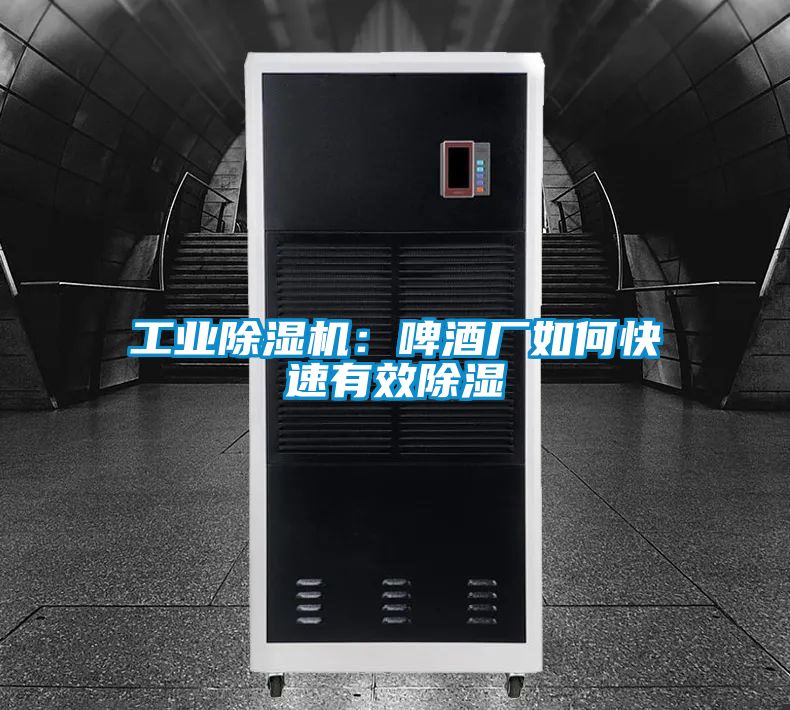 工業除濕機：啤酒廠如何快速有效除濕