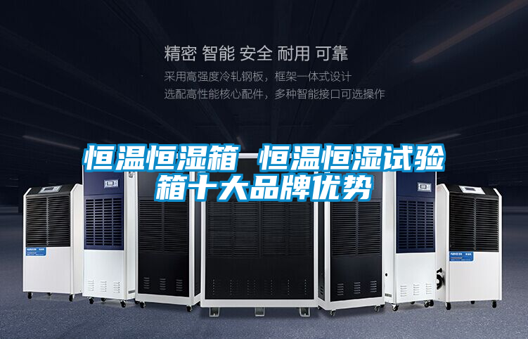 恒溫恒濕箱 恒溫恒濕試驗箱十大品牌優勢