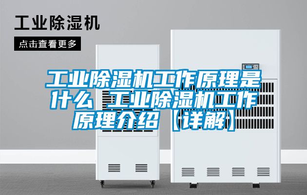 工業除濕機工作原理是什么 工業除濕機工作原理介紹【詳解】