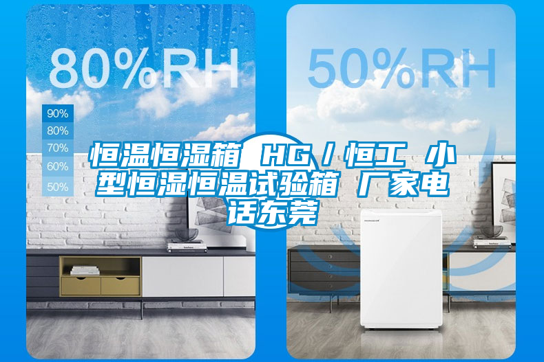 恒溫恒濕箱 HG／恒工 小型恒濕恒溫試驗箱 廠家電話東莞