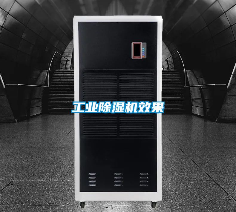 工業(yè)除濕機(jī)效果