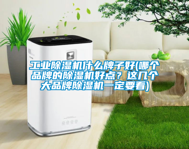 工業除濕機什么牌子好(哪個品牌的除濕機好點？這幾個大品牌除濕機一定要看)