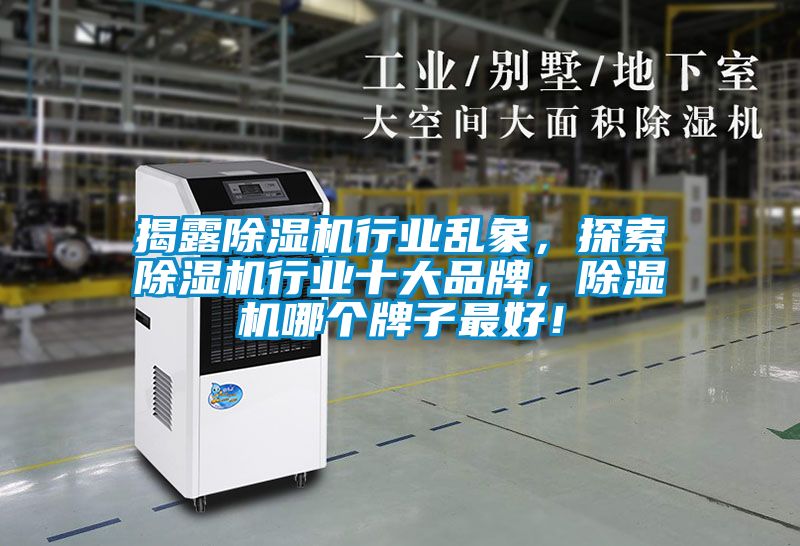 揭露除濕機行業亂象，探索除濕機行業十大品牌，除濕機哪個牌子最好！