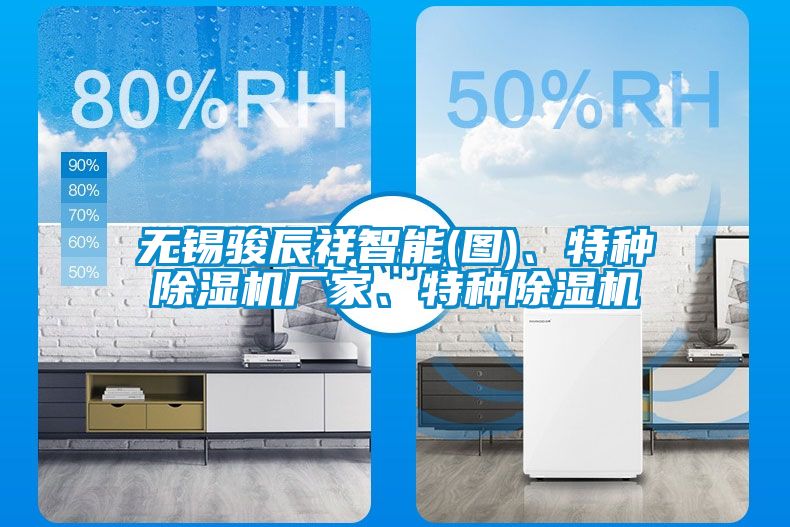 無(wú)錫駿辰祥智能(圖)、特種除濕機(jī)廠家、特種除濕機(jī)