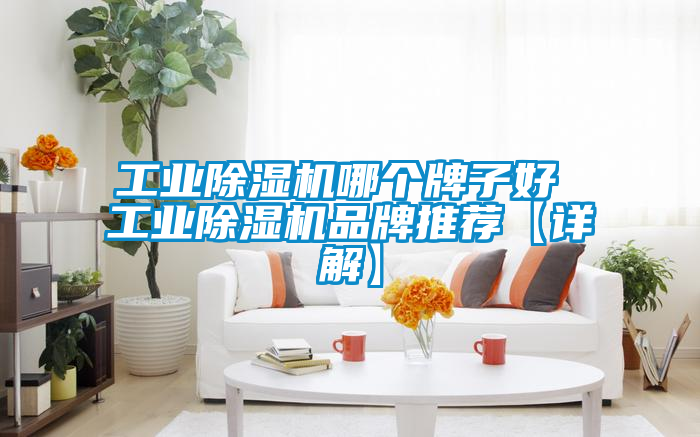 工業除濕機哪個牌子好 工業除濕機品牌推薦【詳解】