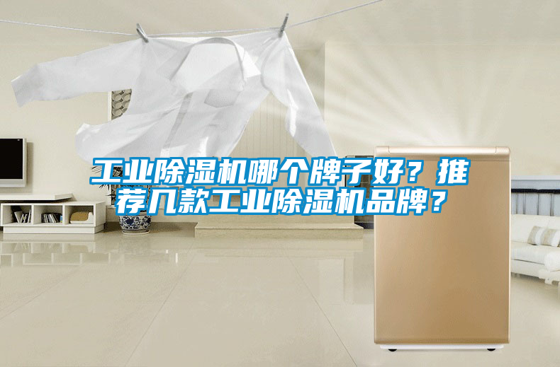 工業(yè)除濕機(jī)哪個(gè)牌子好？推薦幾款工業(yè)除濕機(jī)品牌？