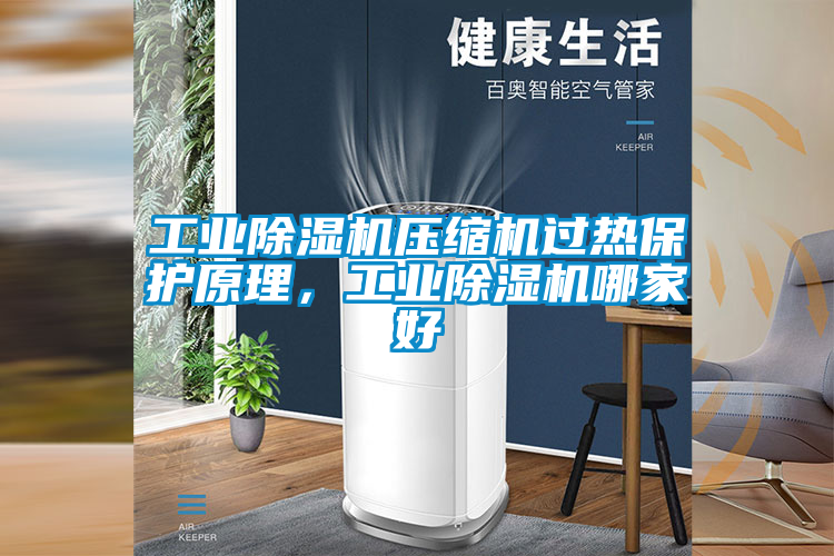 工業除濕機壓縮機過熱保護原理，工業除濕機哪家好