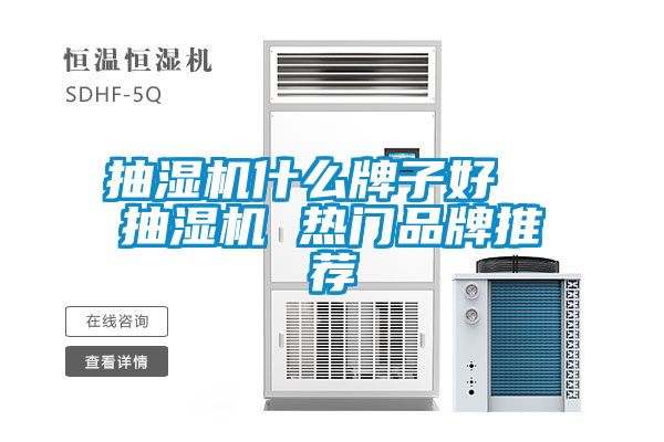 抽濕機什么牌子好  抽濕機 熱門品牌推薦