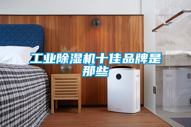 工業除濕機十佳品牌是那些