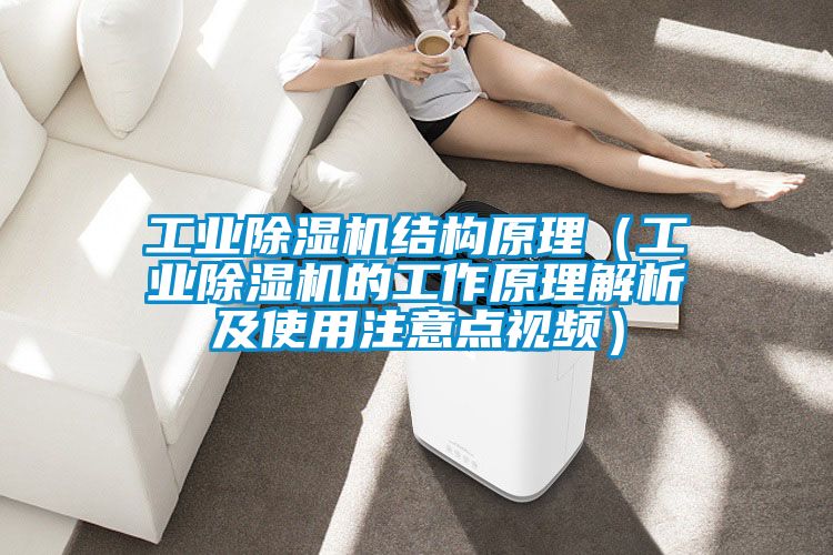 工業除濕機結構原理（工業除濕機的工作原理解析及使用注意點視頻）
