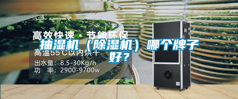 抽濕機（除濕機）哪個牌子好？