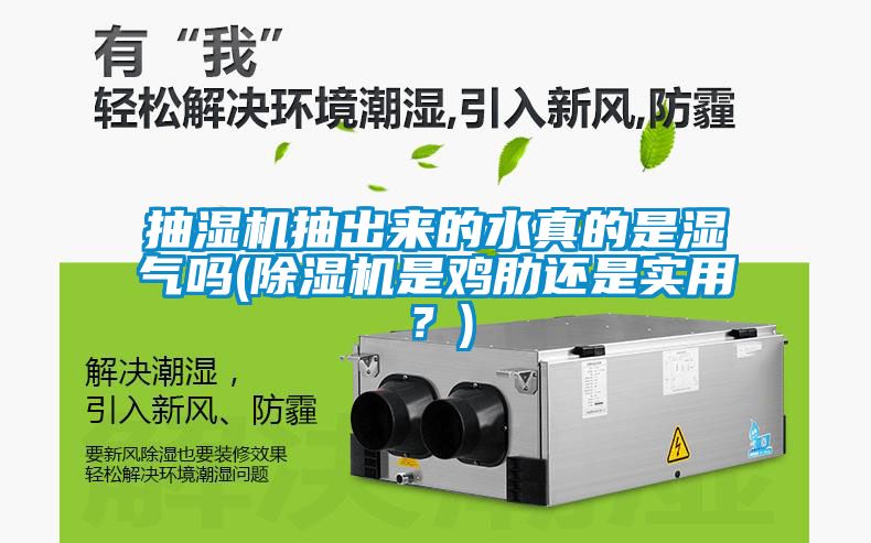 抽濕機抽出來的水真的是濕氣嗎(除濕機是雞肋還是實用？)