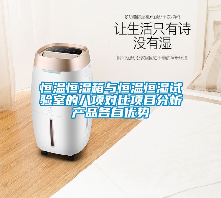 恒溫恒濕箱與恒溫恒濕試驗室的八項對比項目分析產品各自優勢