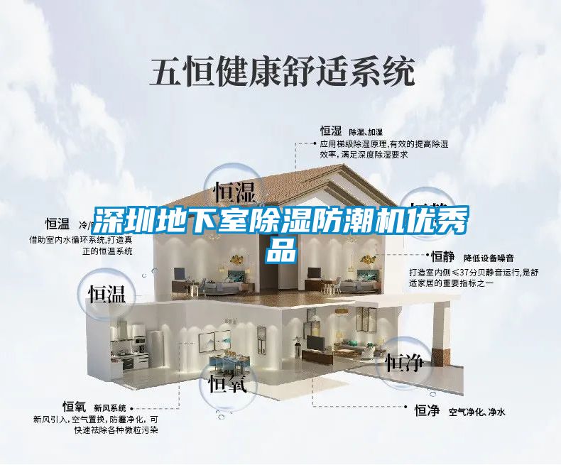 深圳地下室除濕防潮機優秀品