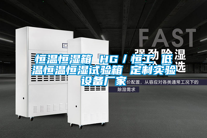 恒溫恒濕箱 HG／恒工 低溫恒溫恒濕試驗(yàn)箱 定制實(shí)驗(yàn)設(shè)備廠家