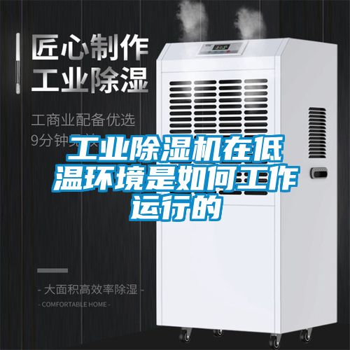 工業(yè)除濕機(jī)在低溫環(huán)境是如何工作運(yùn)行的