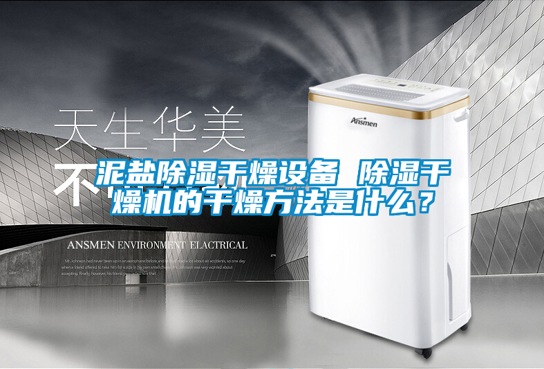 泥鹽除濕干燥設(shè)備 除濕干燥機的干燥方法是什么？
