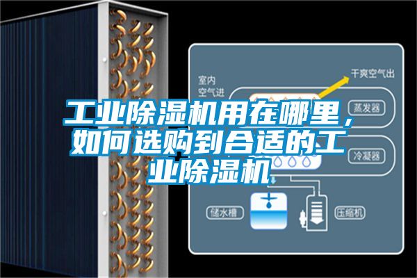 工業(yè)除濕機(jī)用在哪里，如何選購(gòu)到合適的工業(yè)除濕機(jī)