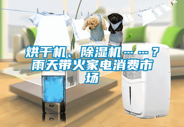 烘干機、除濕機……？雨天帶火家電消費市場