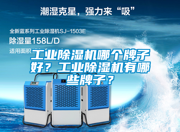 工業除濕機哪個牌子好？工業除濕機有哪些牌子？
