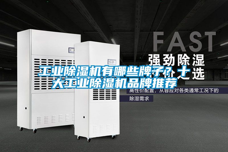 工業除濕機有哪些牌子？十大工業除濕機品牌推薦