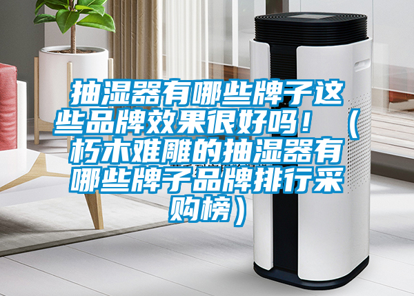 抽濕器有哪些牌子這些品牌效果很好嗎！（朽木難雕的抽濕器有哪些牌子品牌排行采購榜）