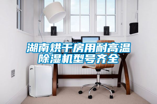 湖南烘干房用耐高溫除濕機型號齊全