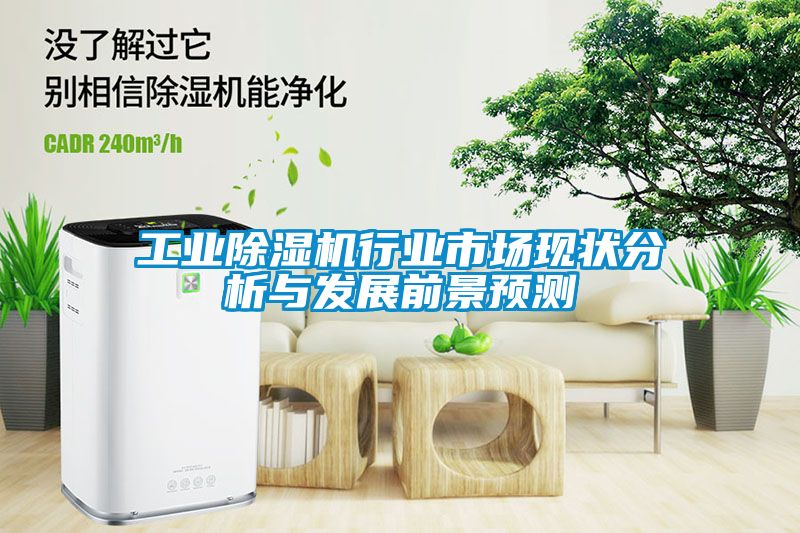 工業除濕機行業市場現狀分析與發展前景預測