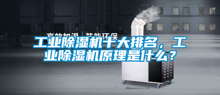 工業(yè)除濕機(jī)十大排名，工業(yè)除濕機(jī)原理是什么？