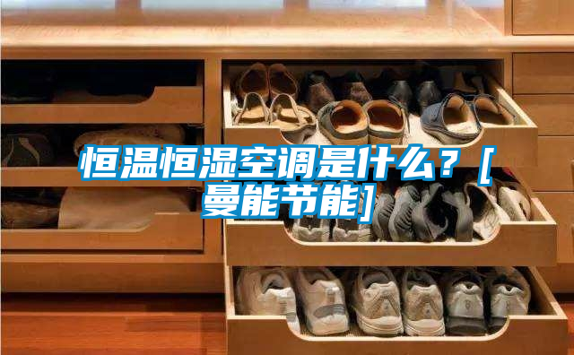 恒溫恒濕空調是什么？[曼能節能]