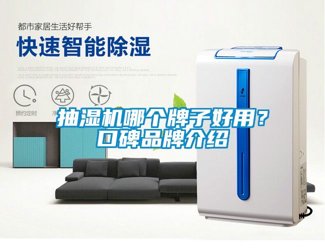 抽濕機哪個牌子好用？口碑品牌介紹