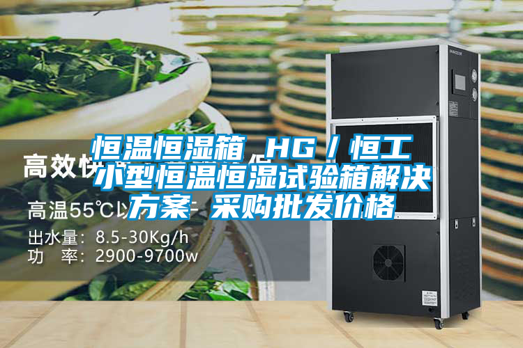 恒溫恒濕箱 HG／恒工 小型恒溫恒濕試驗(yàn)箱解決方案 采購批發(fā)價(jià)格