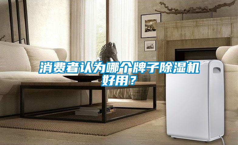 消費者認為哪個牌子除濕機好用？