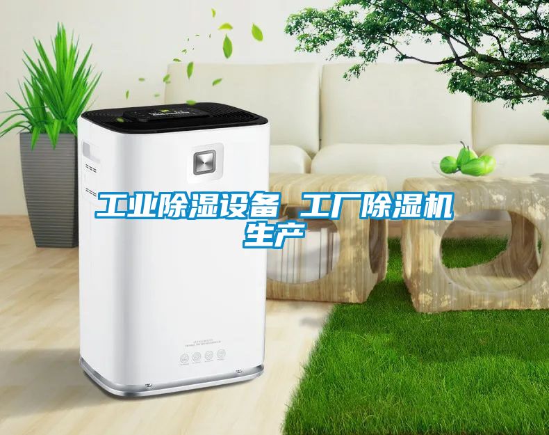 工業(yè)除濕設(shè)備 工廠除濕機(jī)生產(chǎn)