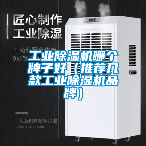 工業除濕機哪個牌子好（推薦幾款工業除濕機品牌）