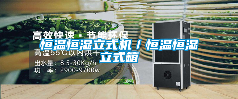 恒溫恒濕立式機／恒溫恒濕立式箱