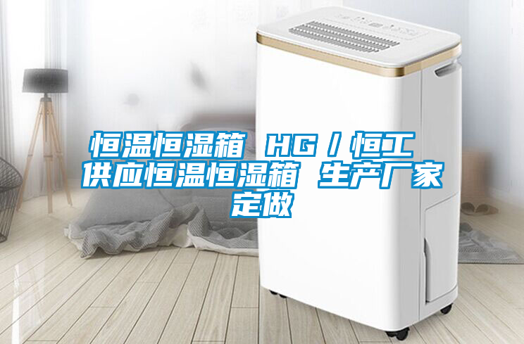 恒溫恒濕箱 HG／恒工 供應恒溫恒濕箱 生產廠家定做