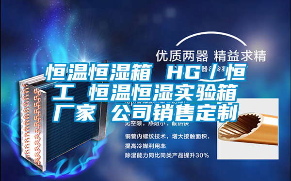 恒溫恒濕箱 HG／恒工 恒溫恒濕實(shí)驗(yàn)箱廠家 公司銷(xiāo)售定制