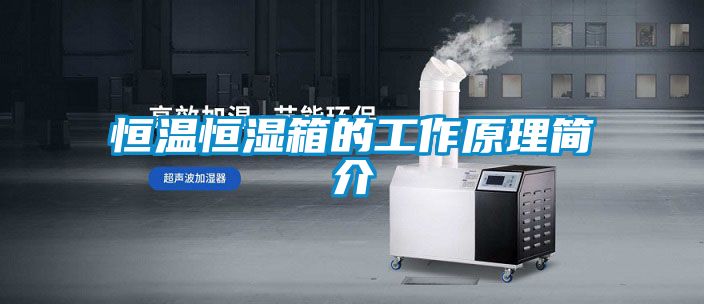 恒溫恒濕箱的工作原理簡介