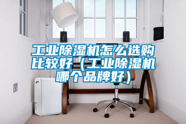 工業除濕機怎么選購比較好（工業除濕機哪個品牌好）