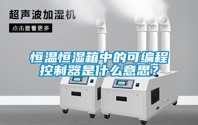 恒溫恒濕箱中的可編程控制器是什么意思？
